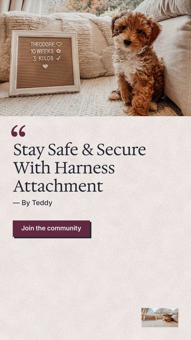 Instagram story for By Teddy: "Stay Safe & Secure With Harness Attachment". Paper trio style, quote layout, light palette in orange, grey, red.