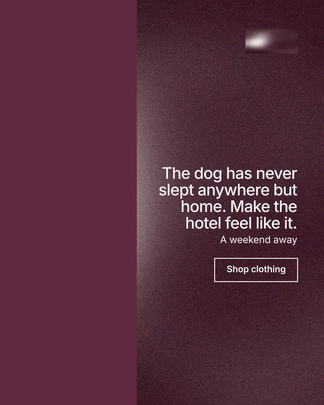 Instagram portrait post for By Teddy: "The dog has never slept anywhere but home. Make the hotel feel like it." Cyanotype style, right layout, dark palette in red.