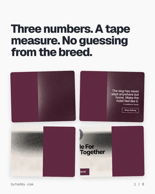 Carousel for By Teddy: "Three numbers. A tape measure. No guessing from the breed.". Collection carousel, 8 slides, light palette.