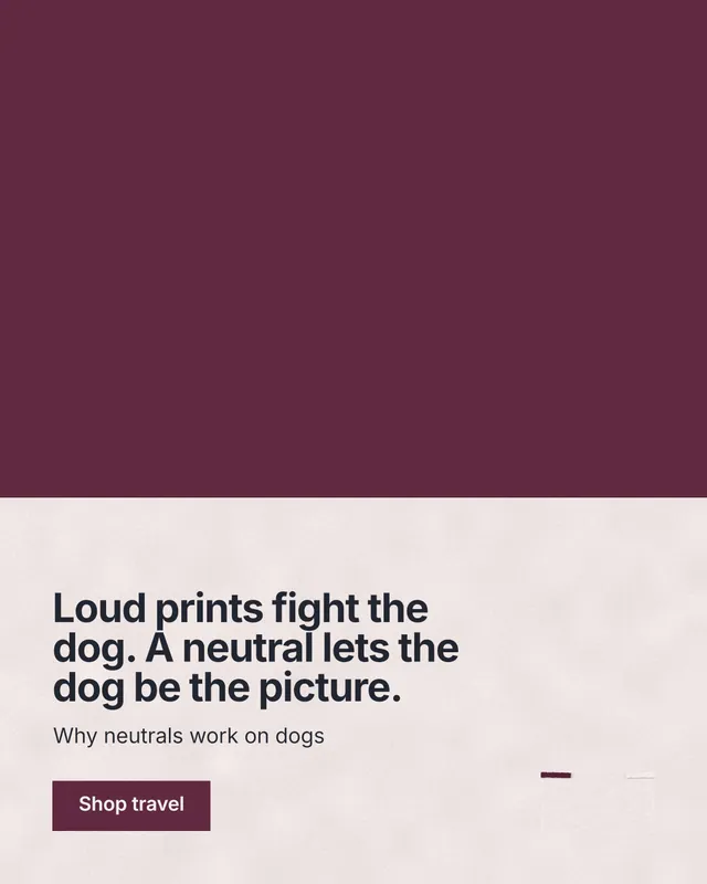 Instagram portrait post for By Teddy: "Loud prints fight the dog. A neutral lets the dog be the picture." Swiss style, bottom layout, light palette in red, grey.