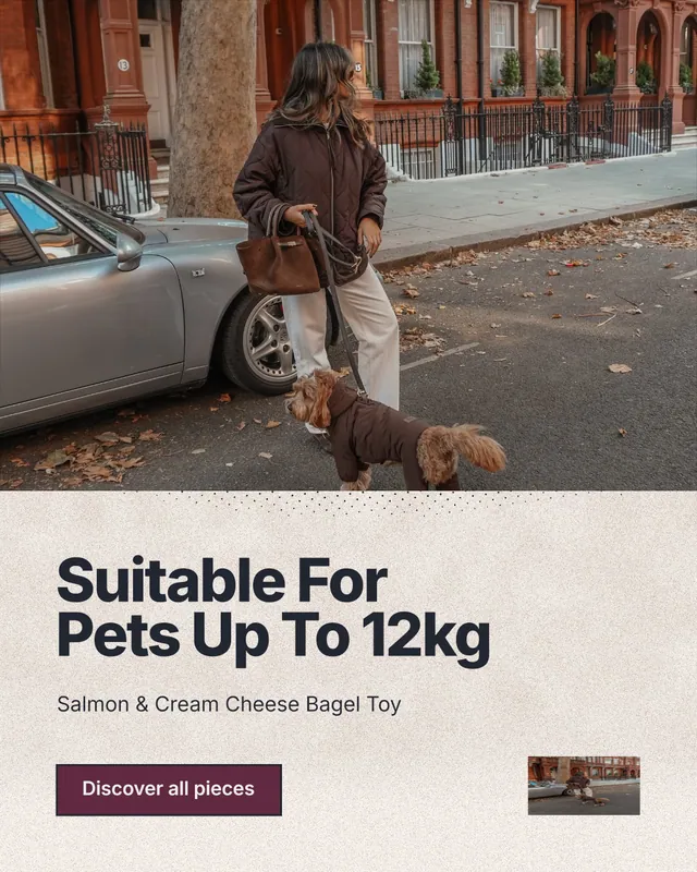 Instagram portrait post for By Teddy: "Suitable For Pets Up To 12kg". Ink sticker style, bottom layout, light palette in grey, orange, red.