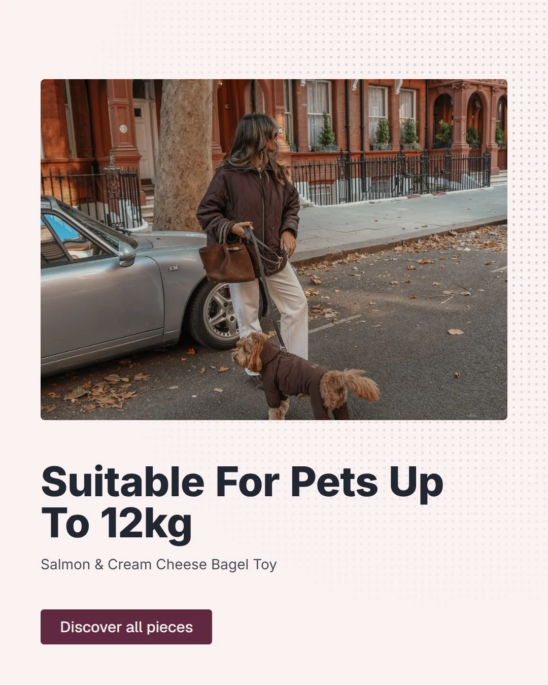 Video for By Teddy: "Suitable For Pets Up To 12kg". Doc motion loop, 6.0 s, light palette.