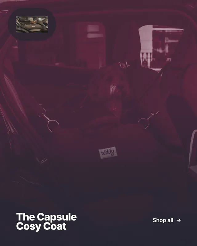 Instagram portrait post for By Teddy: "The Capsule Cosy Coat". Ink sticker style, image led layout, dark palette in pink, black.