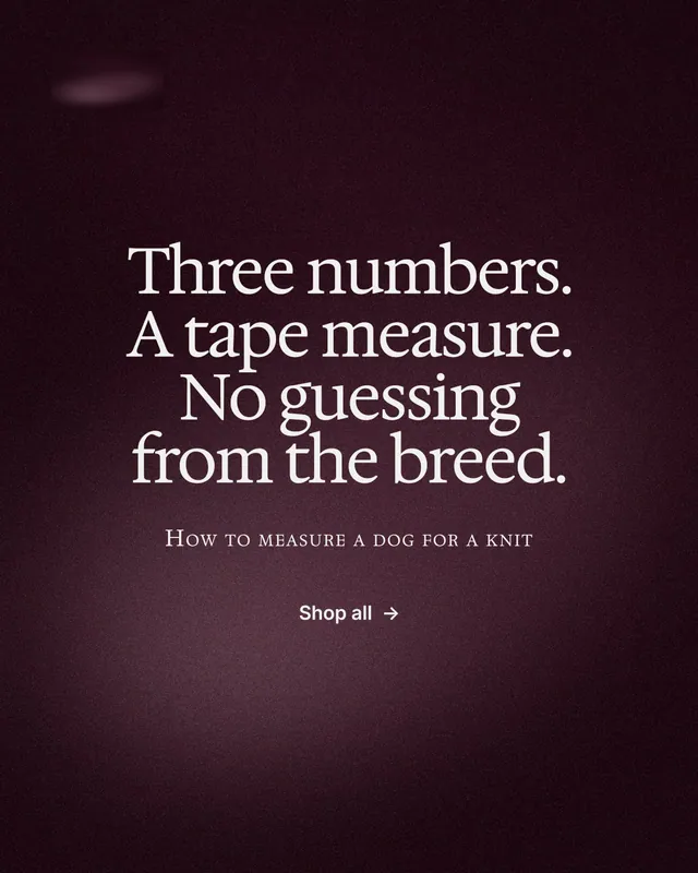 Instagram portrait post for By Teddy: "Three numbers. A tape measure. No guessing from the breed." Swiss style, smallcaps layout, dark palette in red, black, grey.