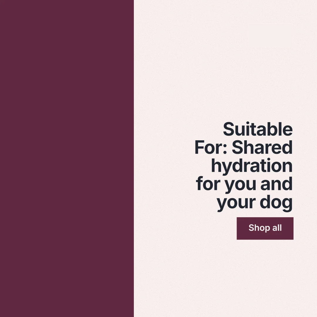Instagram post for By Teddy: "Suitable For: Shared hydration for you and your dog". Swiss style, right layout, light palette in white, red.