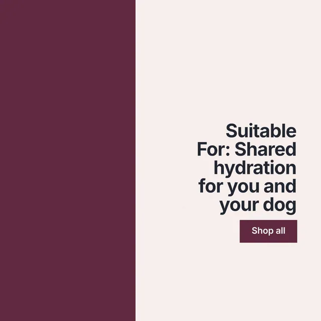 Instagram post for By Teddy: "Suitable For: Shared hydration for you and your dog". Swiss style, right layout, light palette in white, red.
