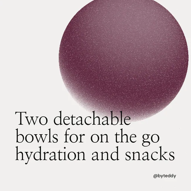 Instagram post for By Teddy: "Two detachable bowls for on the go hydration and snacks". Auto 1x1 style, technique:shader field layout, light palette in white, red, grey.