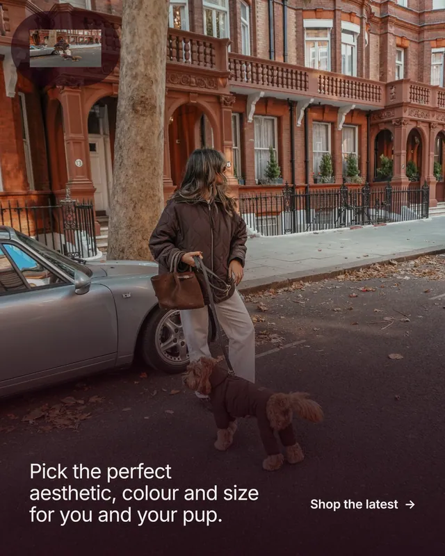 Instagram portrait post for By Teddy: "Pick the perfect aesthetic, colour and size for you and your pup." Film still style, image led layout, dark palette in orange, red, grey.