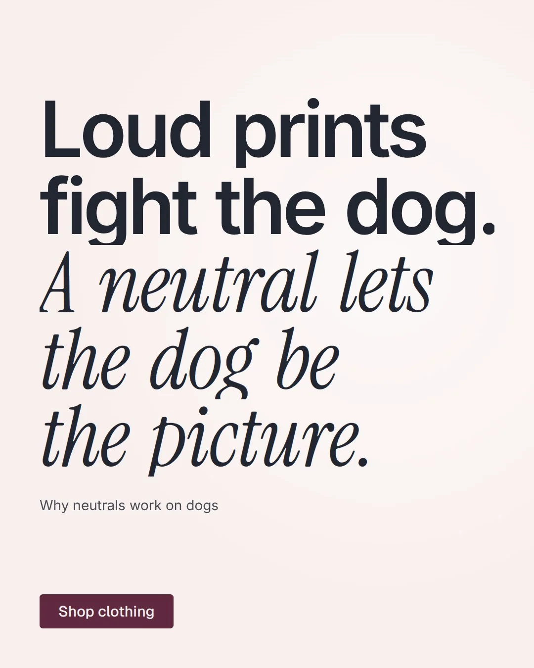 Video for By Teddy: "Loud prints fight the dog. A neutral lets the dog be the picture.". Doc motion loop, 8.0 s, light palette.