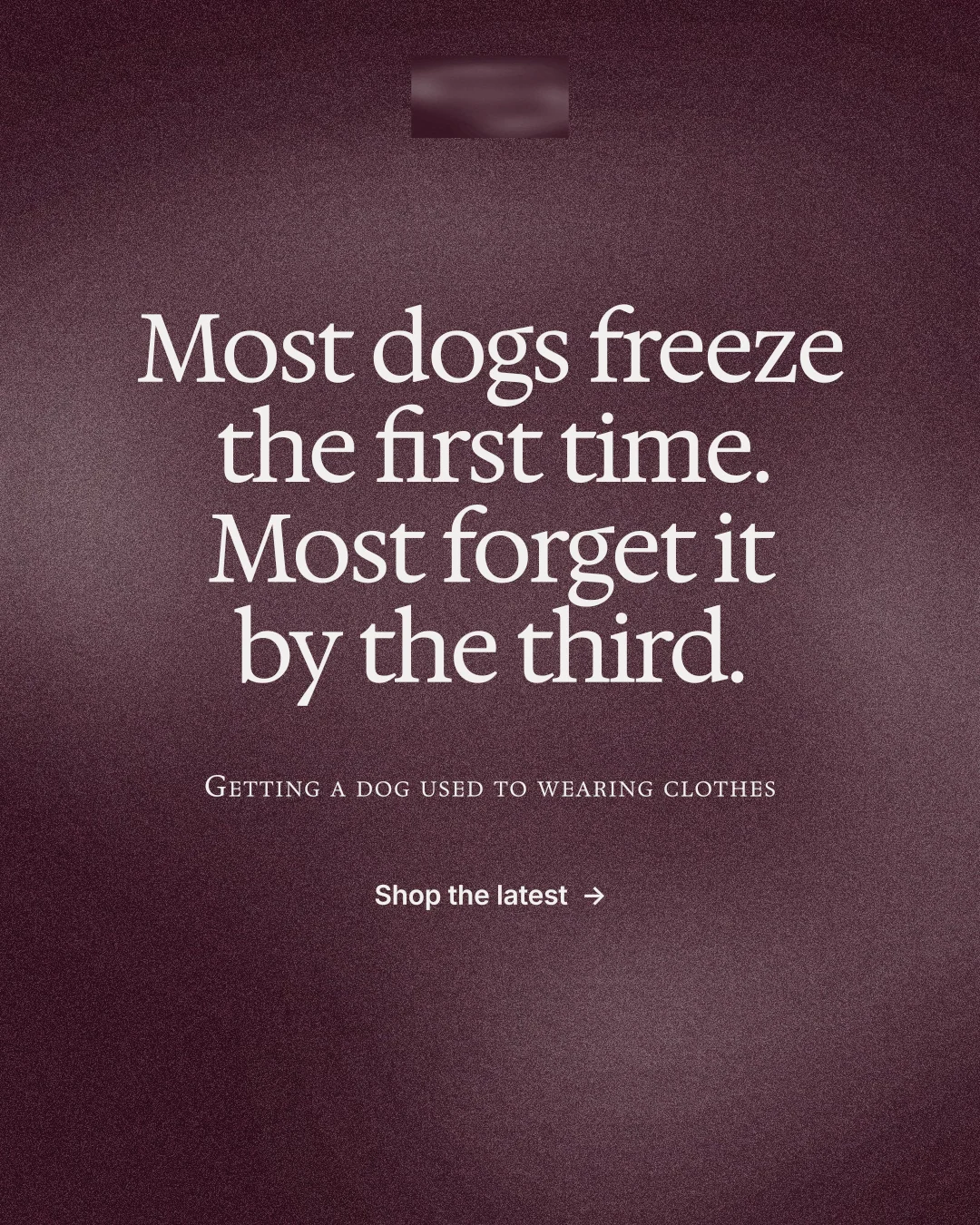 Instagram portrait post for By Teddy: "Most dogs freeze the first time. Most forget it by the third." Cyanotype style, smallcaps layout, dark palette in red, grey.