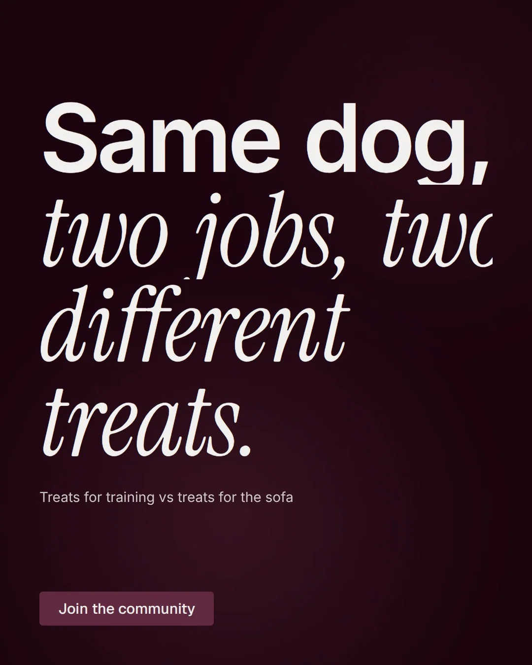 Video for By Teddy: "Same dog, two jobs, two different treats.". Doc motion loop, 8.0 s, dark palette.