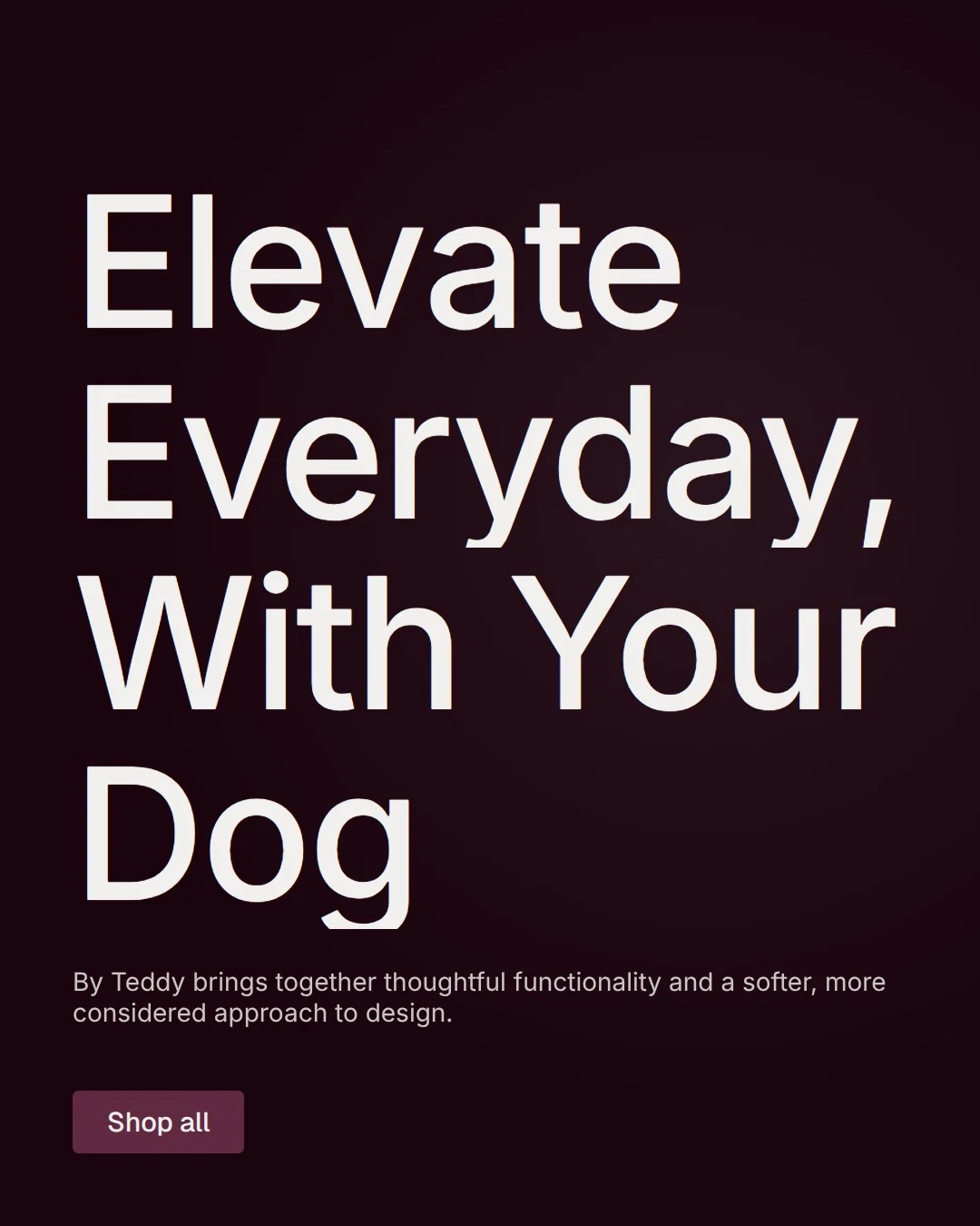 Video for By Teddy: "Elevate Everyday, With Your Dog". Doc motion loop, 8.0 s, dark palette.