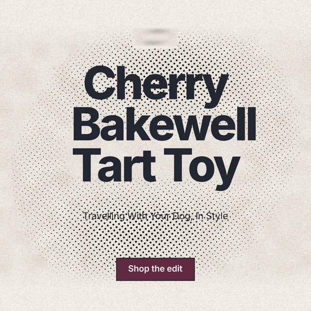 Instagram post for By Teddy: "Cherry Bakewell Tart Toy". Ink sticker style, centred layout, light palette in white, orange, grey.