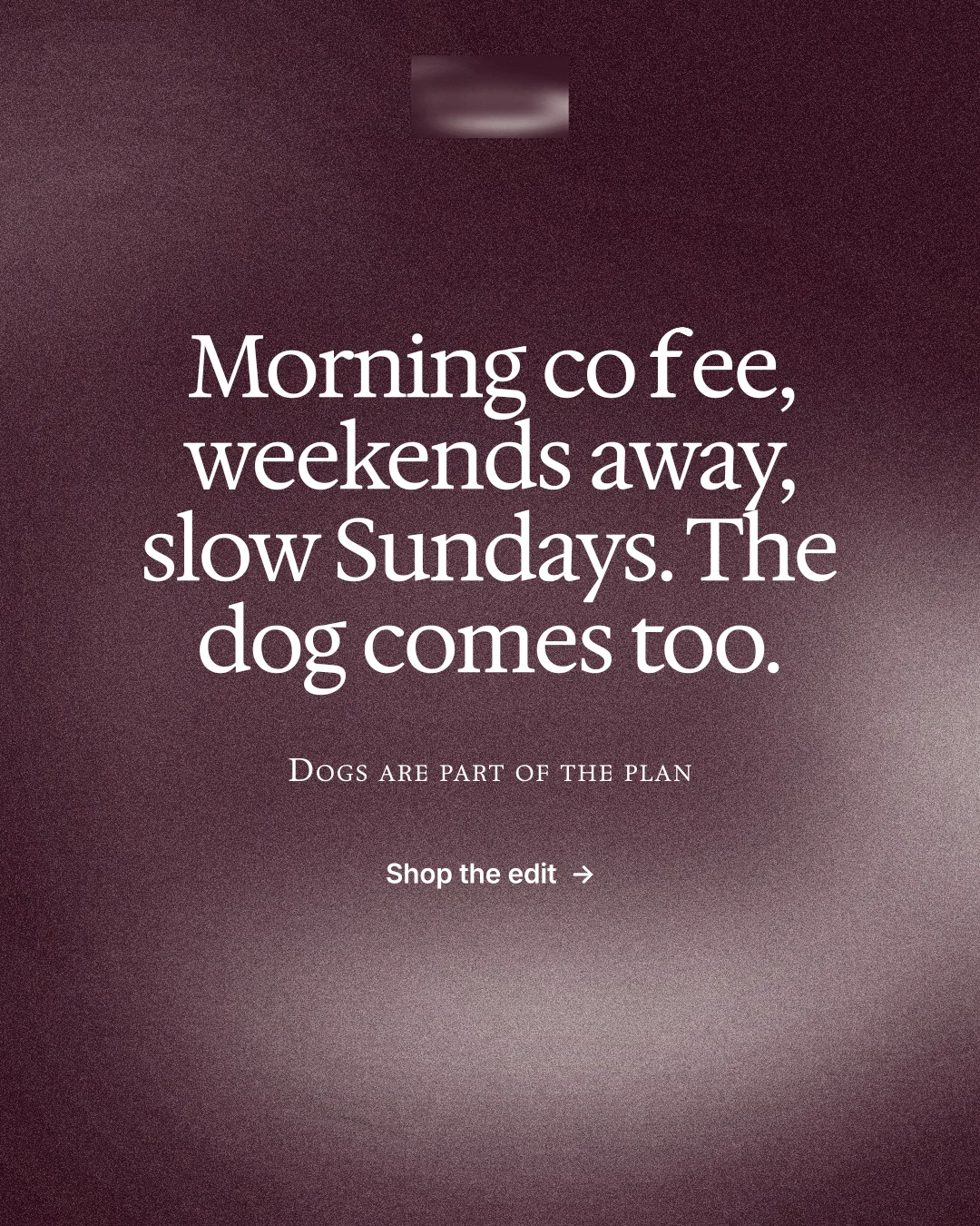 Instagram portrait post for By Teddy: "Morning coffee, weekends away, slow Sundays. The dog comes too." Cyanotype style, smallcaps layout, dark palette in grey, red.