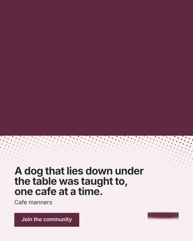 Instagram portrait post for By Teddy: "A dog that lies down under the table was taught to, one cafe at a time." Swiss style, bottom layout, light palette in red, white, grey.