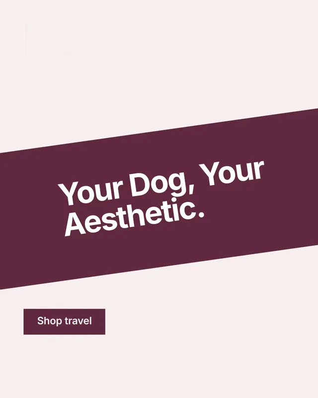 Instagram portrait post for By Teddy: "Your Dog, Your Aesthetic." Swiss style, diagonal layout, light palette in white, pink.