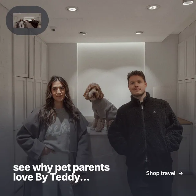 Instagram post for By Teddy: "see why pet parents love By Teddy..." Paper trio style, image led layout, dark palette in black, grey.