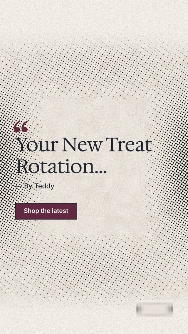 Instagram story for By Teddy: "Your New Treat Rotation..." Ink sticker style, quote layout, light palette in white, orange, grey.