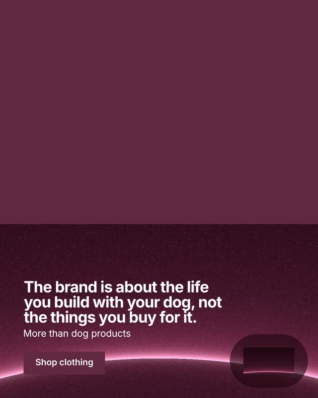 Instagram portrait post for By Teddy: "The brand is about the life you build with your dog, not the things you buy for it." Swiss style, bottom layout, dark palette in red, pink.