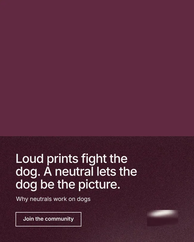 Instagram portrait post for By Teddy: "Loud prints fight the dog. A neutral lets the dog be the picture." Cyanotype style, bottom layout, dark palette in red, grey.