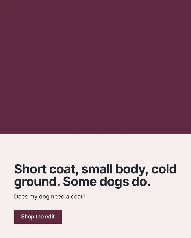 Instagram portrait post for By Teddy: "Short coat, small body, cold ground. Some dogs do." Swiss style, bottom layout, light palette in red, white, grey.