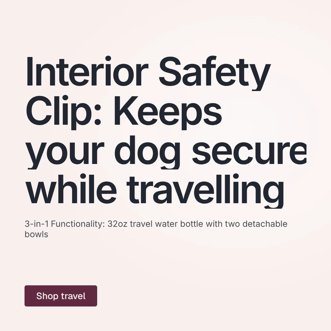 Video for By Teddy: "Interior Safety Clip: Keeps your dog secure while travelling". Doc motion loop, 8.0 s, light palette.