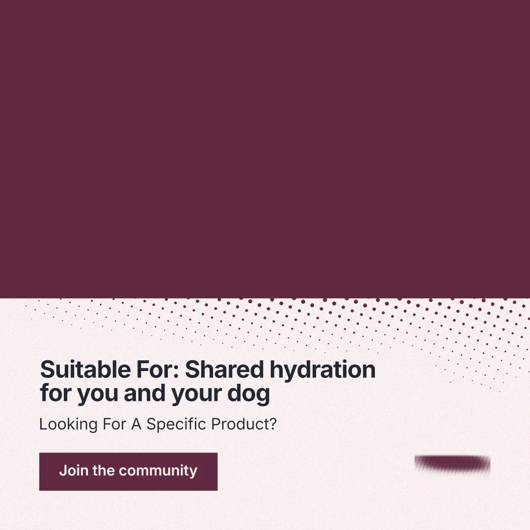 Instagram post for By Teddy: "Suitable For: Shared hydration for you and your dog". Swiss style, bottom layout, light palette in red, white, grey.
