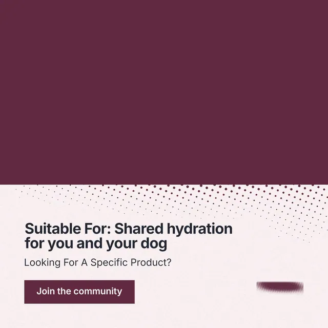 Instagram post for By Teddy: "Suitable For: Shared hydration for you and your dog". Swiss style, bottom layout, light palette in red, white, grey.