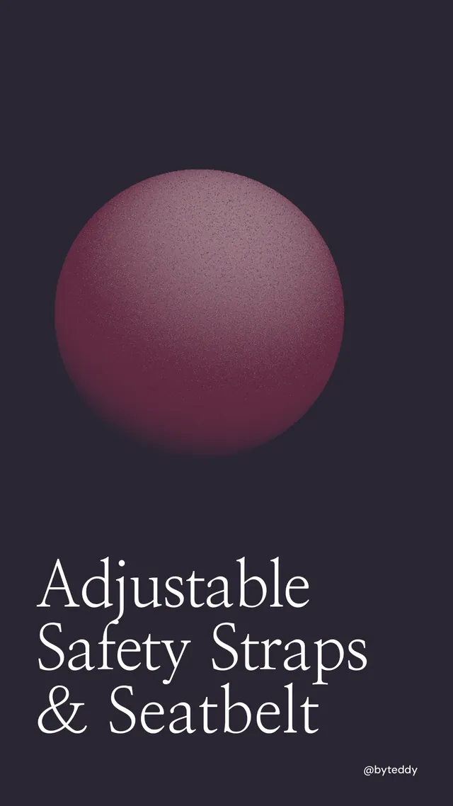 Instagram story for By Teddy: "Adjustable Safety Straps & Seatbelt". Auto 9x16 style, technique:shader field layout, dark palette in black, grey.