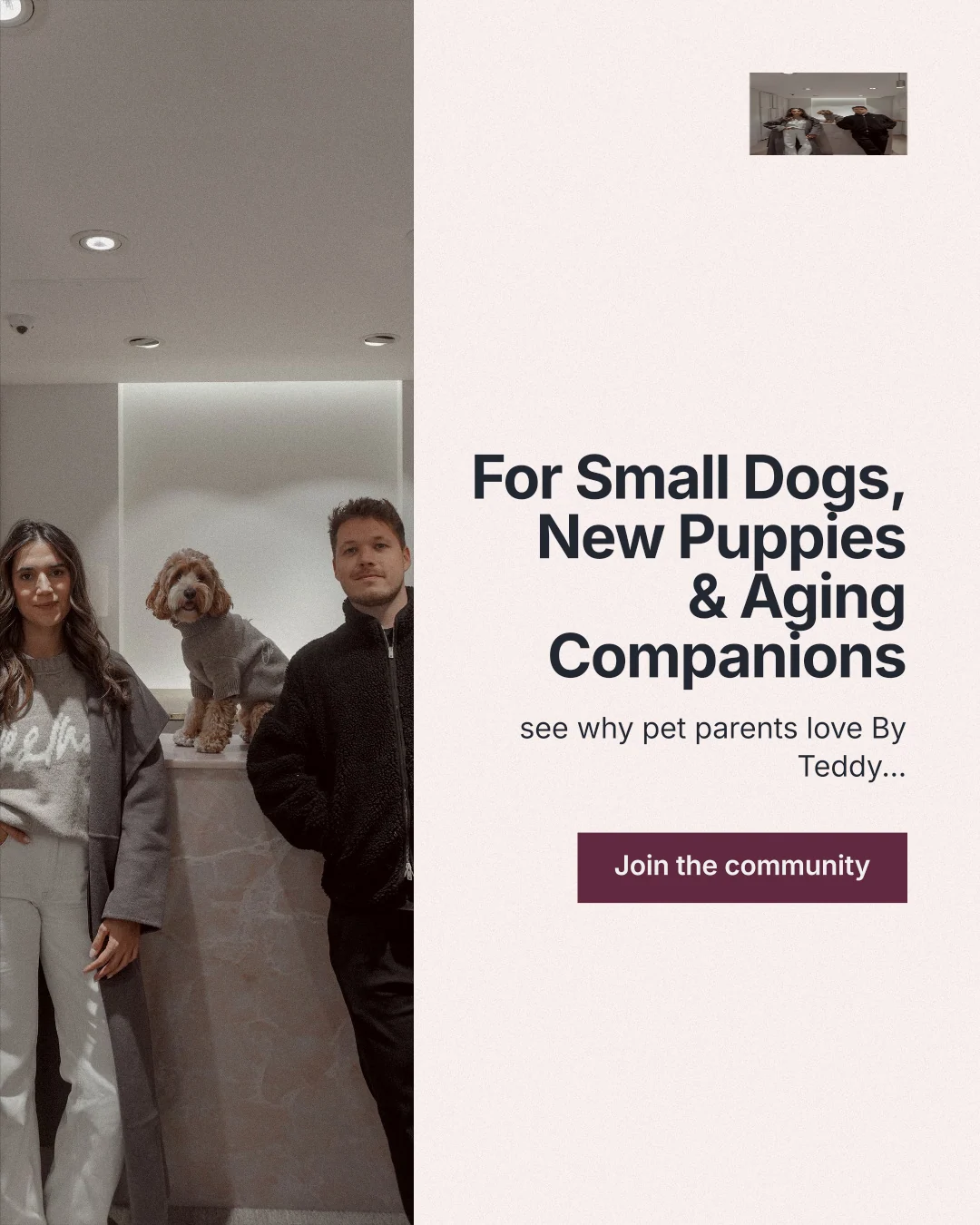 Instagram portrait post for By Teddy: "For Small Dogs, New Puppies & Aging Companions". Swiss style, right layout, light palette in white, grey, red.