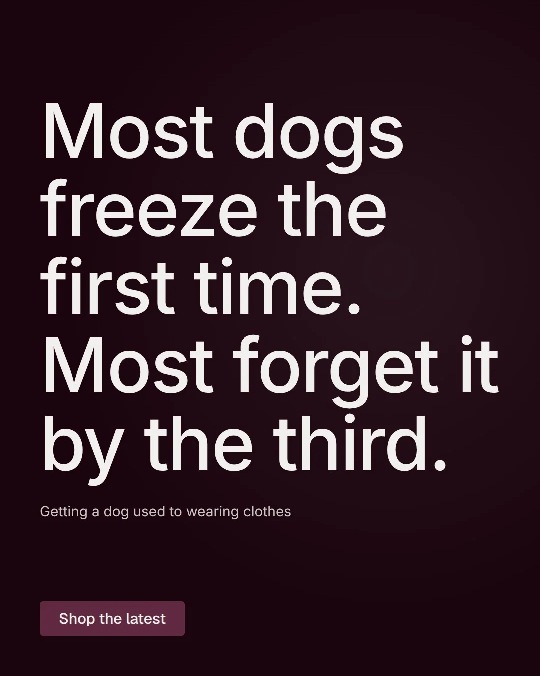 Video for By Teddy: "Most dogs freeze the first time. Most forget it by the third.". Doc motion loop, 6.0 s, dark palette.