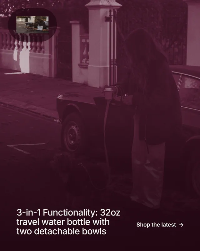 Instagram portrait post for By Teddy: "3-in-1 Functionality: 32oz travel water bottle with two detachable bowls". Cyanotype style, image led layout, dark palette in red, black, pink.