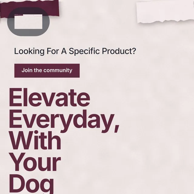 Instagram post for By Teddy: "Elevate Everyday, With Your Dog". Swiss style, oversized layout, light palette in red, grey.