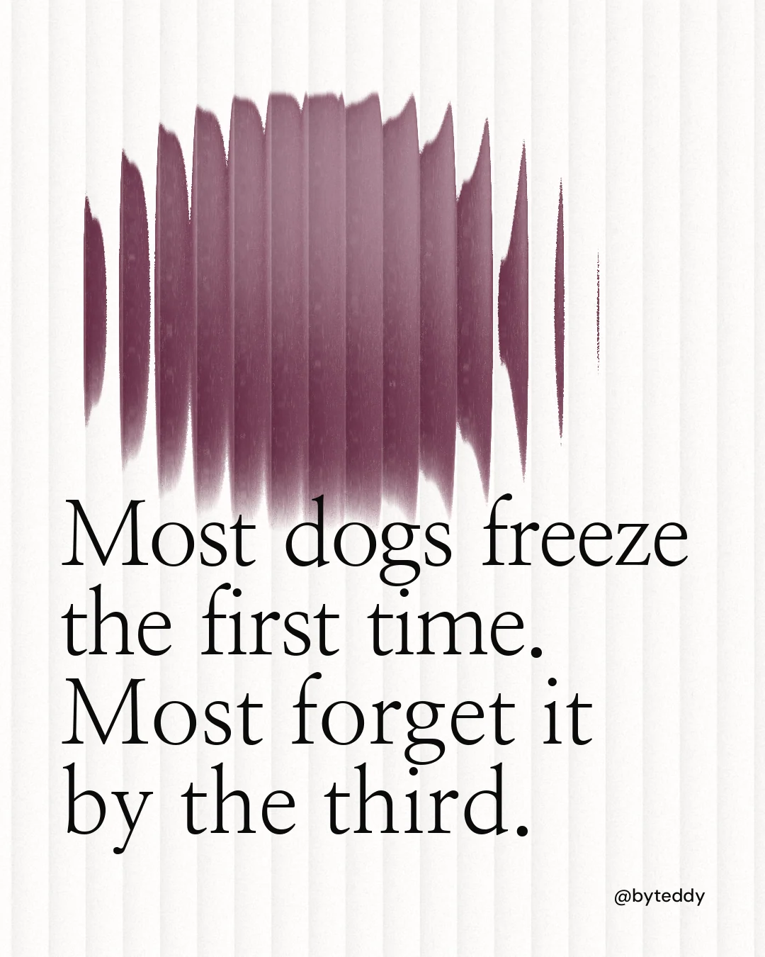 Instagram portrait post for By Teddy: "Most dogs freeze the first time. Most forget it by the third." Auto 4x5 style, technique:shader field layout, light palette in white, grey.
