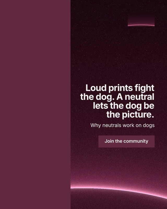 Instagram portrait post for By Teddy: "Loud prints fight the dog. A neutral lets the dog be the picture." Swiss style, right layout, dark palette in red, black, pink.