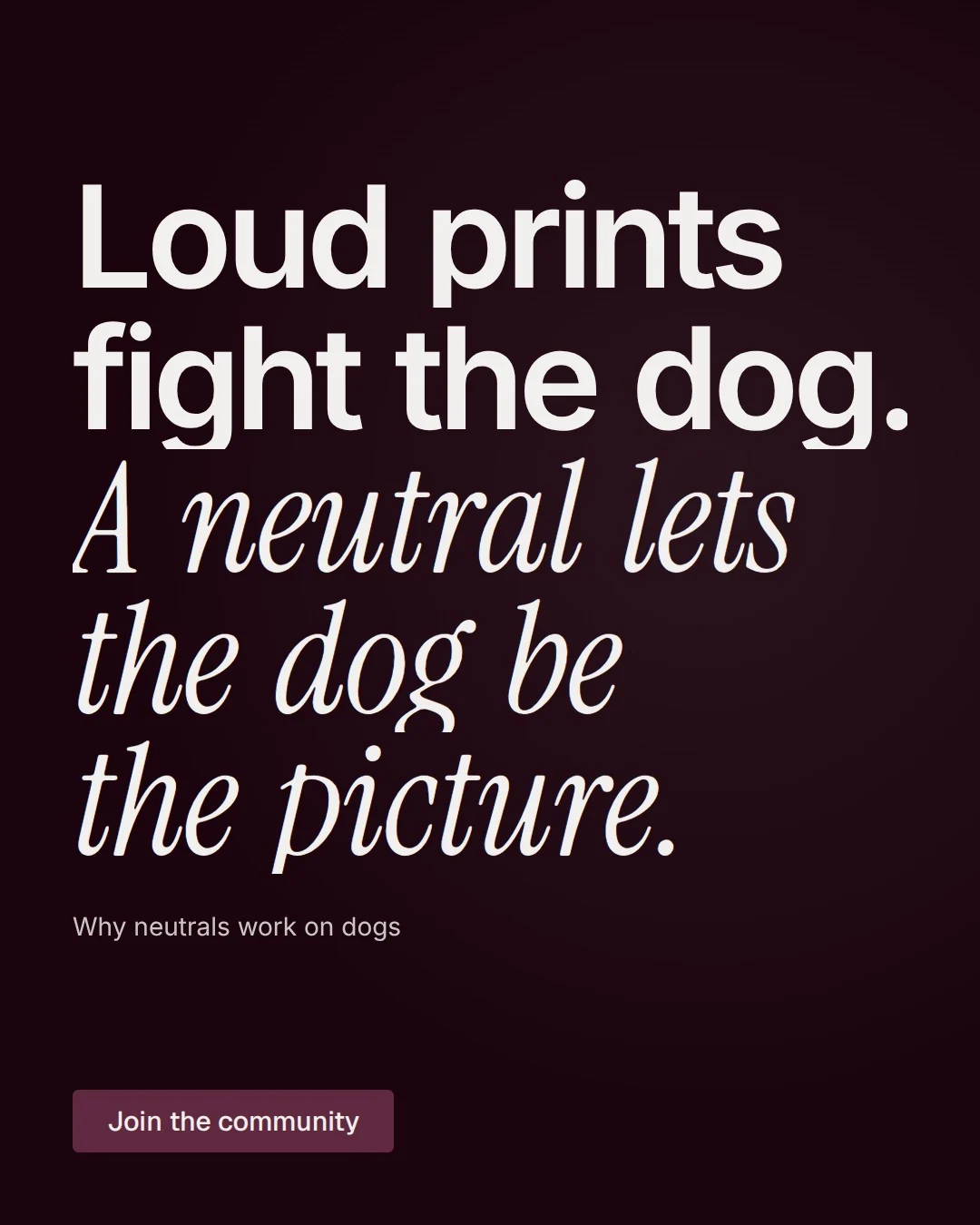 Video for By Teddy: "Loud prints fight the dog. A neutral lets the dog be the picture.". Doc motion loop, 8.0 s, dark palette.