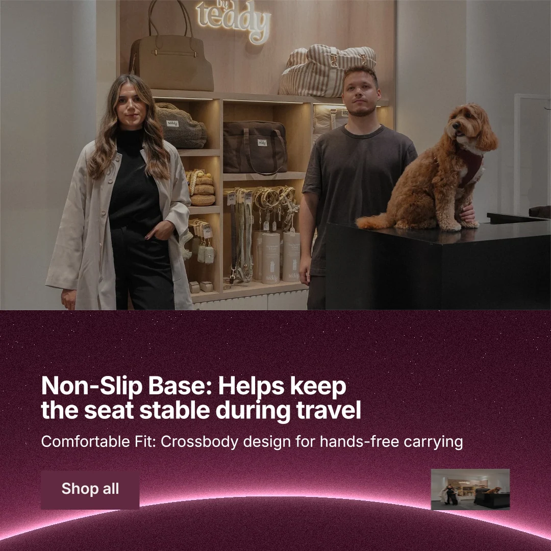 Instagram post for By Teddy: "Non-Slip Base: Helps keep the seat stable during travel". Swiss style, bottom layout, dark palette in grey, pink, black.