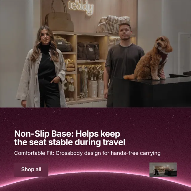 Instagram post for By Teddy: "Non-Slip Base: Helps keep the seat stable during travel". Swiss style, bottom layout, dark palette in grey, pink, black.