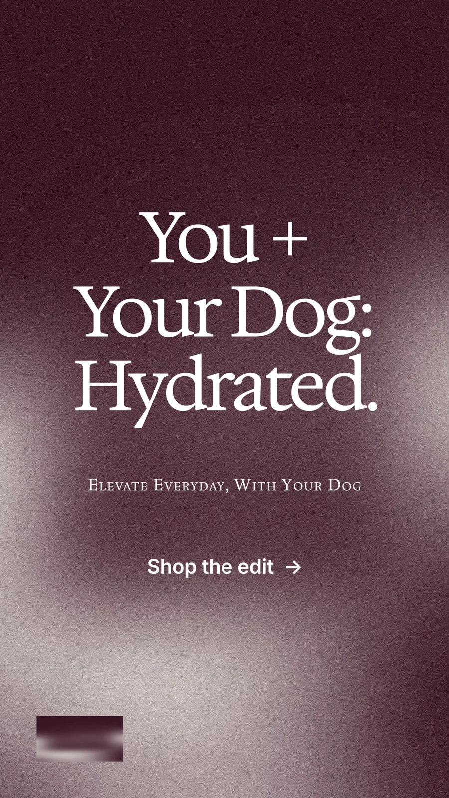 Instagram story for By Teddy: "You + Your Dog: Hydrated." Cyanotype style, smallcaps layout, dark palette in red, grey.