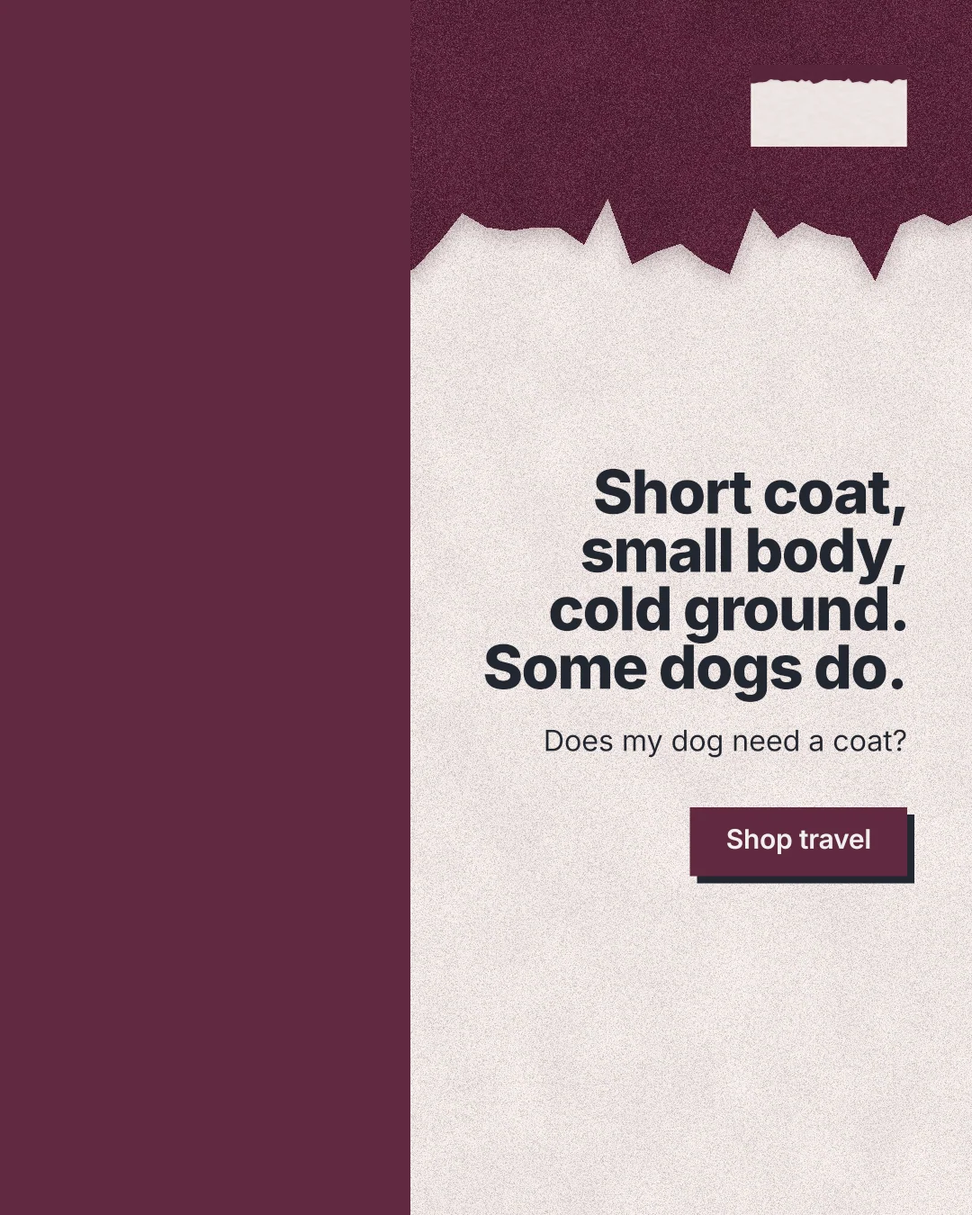 Instagram portrait post for By Teddy: "Short coat, small body, cold ground. Some dogs do." Paper trio style, right layout, light palette in red, orange, pink.
