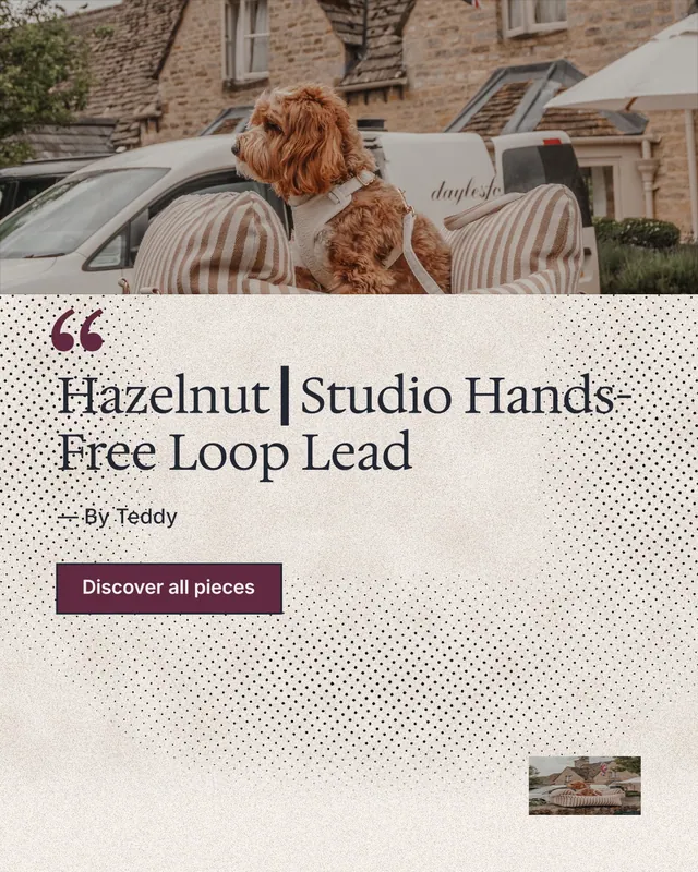 Instagram portrait post for By Teddy: "Hazelnut┃Studio Hands-Free Loop Lead". Ink sticker style, quote layout, light palette in orange, white, grey.