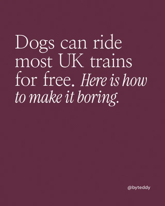Instagram portrait post for By Teddy: "Dogs can ride most UK trains for free. Here is how to make it boring." Editorial style, technique:mixed type lockup layout, dark palette in red, pink.