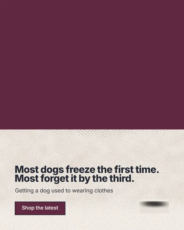 Instagram portrait post for By Teddy: "Most dogs freeze the first time. Most forget it by the third." Ink sticker style, bottom layout, light palette in red, orange.