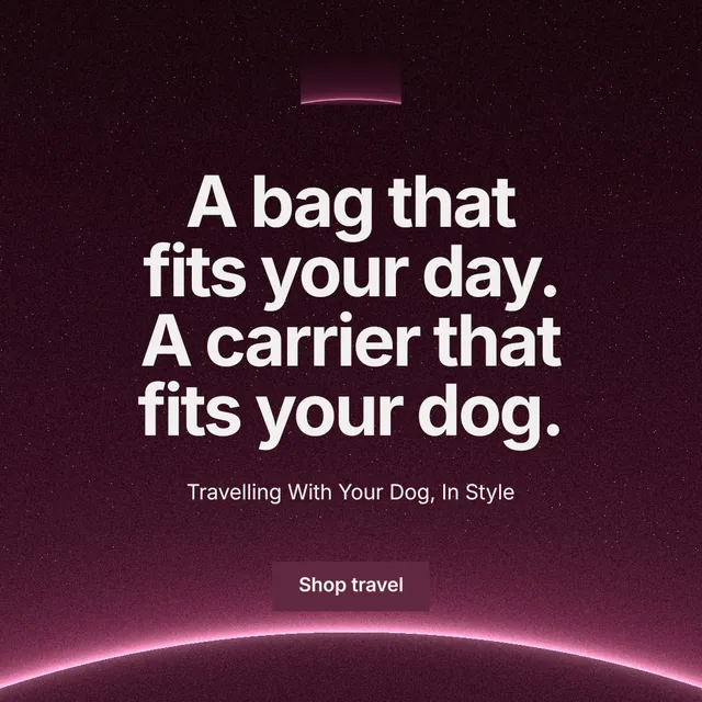 Instagram post for By Teddy: "A bag that fits your day. A carrier that fits your dog." Swiss style, centred layout, dark palette in pink, black, grey.