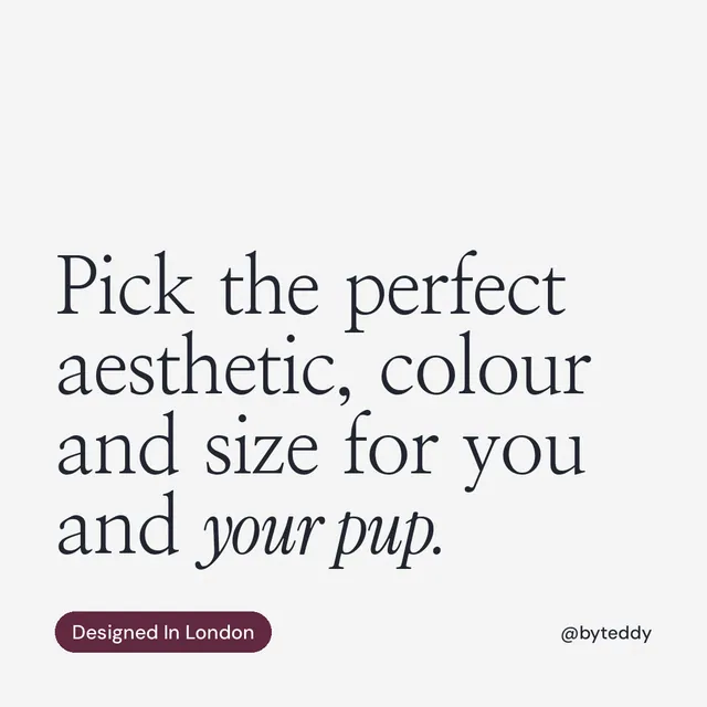 Instagram post for By Teddy: "Pick the perfect aesthetic, colour and size for you and your pup." Caption style, technique:mixed type lockup layout, light palette in white, grey.