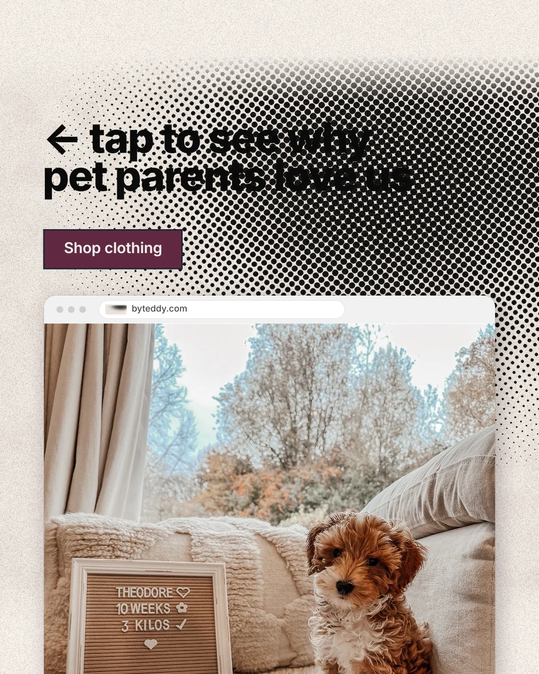 Instagram portrait post for By Teddy: "← tap to see why pet parents love us". Ink sticker style, browser layout, light palette in grey, white.