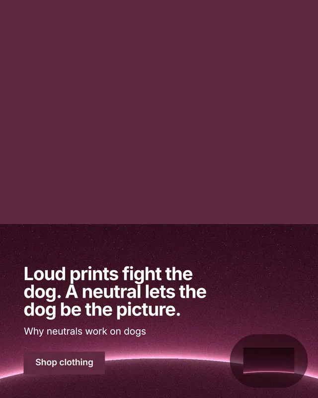Instagram portrait post for By Teddy: "Loud prints fight the dog. A neutral lets the dog be the picture." Swiss style, bottom layout, dark palette in red, pink.