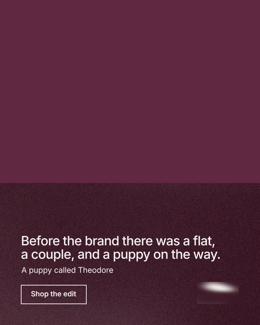 Instagram portrait post for By Teddy: "Before the brand there was a flat, a couple, and a puppy on the way." Cyanotype style, bottom layout, dark palette in red, grey.
