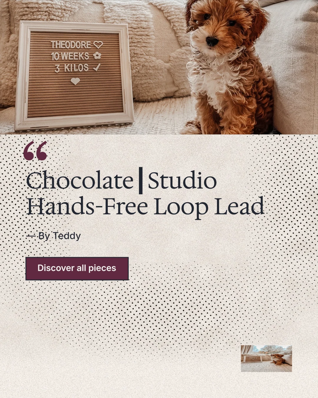 Instagram portrait post for By Teddy: "Chocolate┃Studio Hands-Free Loop Lead". Ink sticker style, quote layout, light palette in white, brown, grey.