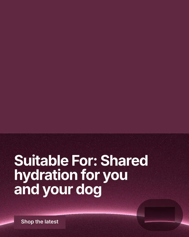 Instagram portrait post for By Teddy: "Suitable For: Shared hydration for you and your dog". Swiss style, bottom layout, dark palette in red, pink, grey.